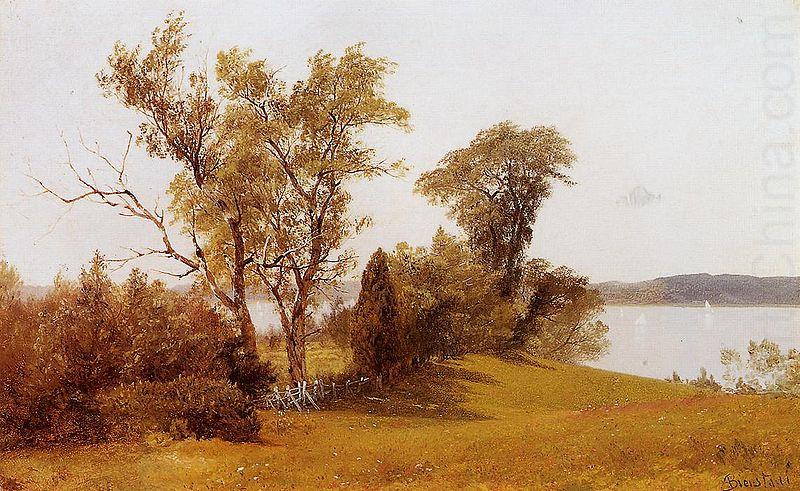 Albert Bierstadt Sailboats on the Hudson at Irvington china oil painting image